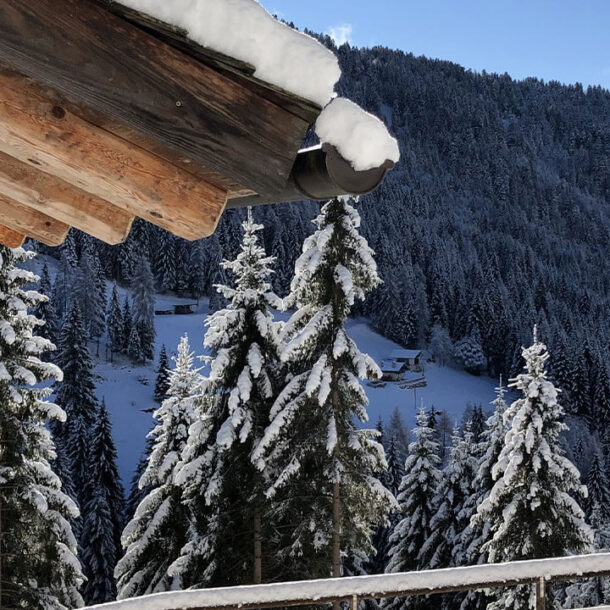 baita isolata nel bosco trentino