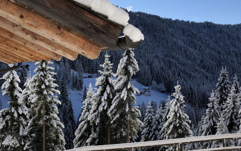 baita isolata nel bosco trentino